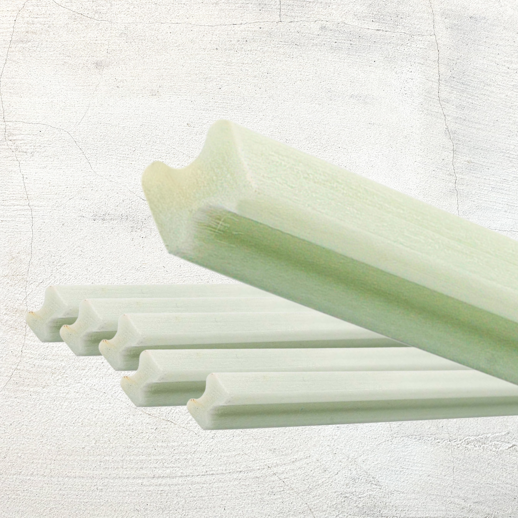 Hueso de Perro (Dog Bone)
